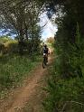 ELBA2019 (430)